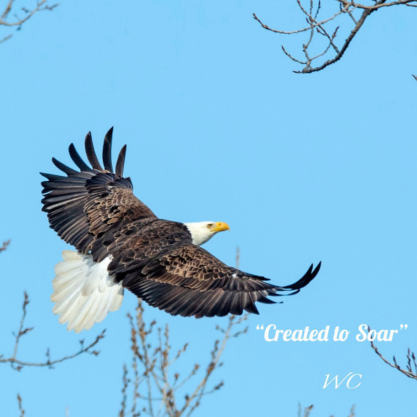 Created to Soar podcast at Wedgewood Estates